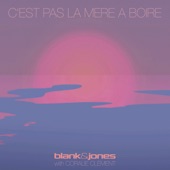 C'est Pas La Mer à Boire (feat. Coralie Clément) [Dalholt & Langkilde Remix] artwork