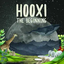 Hooxi, The Beginning by Various Artists album reviews, ratings, credits