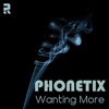 Wanting More - Single