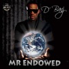 Mr Endowed - Single