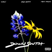 Down South (feat. Yella Beezy & Maxo Kream) artwork