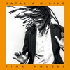 Natalia M. King - Pink Houses (feat. Elliot Murphy)