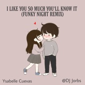 I Like You so Much You'll Know It (Funky Night Remix) artwork
