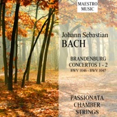 Brandenburg Concerto No.2 In F Major, Bwv 1047: 1. artwork