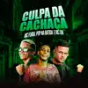 Culpa da Cachaça (Remix) [feat. Mc GW] - Single album lyrics, reviews, download