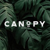 Canopy artwork