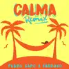 Calma (Remix) song lyrics