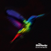 The Sherlocks - Was It Really Worth It?