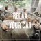 Relax My Cat - Pet Music lyrics