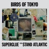 Superglue - Single (feat. Stand Atlantic) - Single