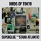 Superglue (feat. Stand Atlantic) - Birds of Tokyo lyrics