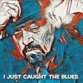 I Just Caught the Blues artwork