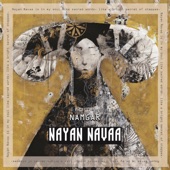 Nayan Navaa artwork