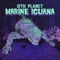 Marine Iguana - Single