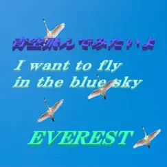 I Want to Fly in the Blue Sky Song Lyrics