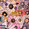 Beautiful Mistakes (feat. Megan Thee Stallion) by Maroon 5 iTunes Track 2