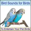 Bird Sounds for Birds: To Entertain Your Pet Bird, Parrots, Cockatiels, Cockatoo, Parakeets, Nature Sounds, Bird Talk album lyrics, reviews, download