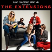 The Extensions - Don't You (Forget About Me)