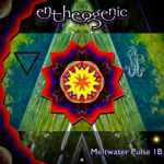 Entheogenic - The Myriad of Colours