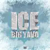 Ice - Single album lyrics, reviews, download