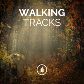 Walking Tracks artwork