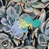 Stay - Single