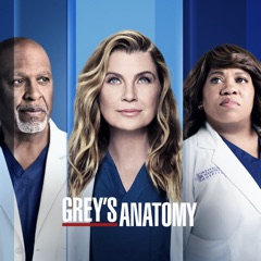 Grey's Anatomy, Season 18 (subtitled)
