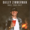 Small Town Crazy - Single