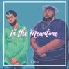 In the Meantime - Single