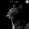 Sleepy Cat Music - Relaxing Cat Music, 2021