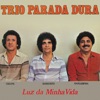 Trio Parada Dura - Bicho Bom É Mulher