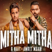 Mitha Mitha (Desi Crew Remix) artwork
