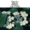 Tapestry Koto & the Occident Country