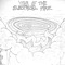 Year of the Electrical Fire - Shasta Gilmore lyrics