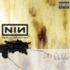 Closer by Nine Inch Nails iTunes Track 2