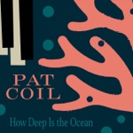 Pat Coil - Letter to Evan (feat. Danny Gottlieb & Jacob Jezioro)