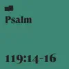 Psalm 119:14-16 (feat. Ryan Walker & Dustin Ragland) - Single album lyrics, reviews, download