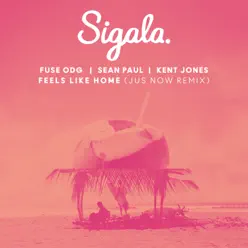 Feels Like Home (Jus Now Remix) [feat. Kent Jones] - Single - Sean Paul