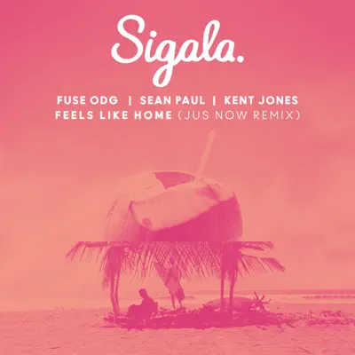 Feels Like Home (Jus Now Remix) [feat. Kent Jones] - Single - Sean Paul