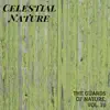 Celestial Nature - The Guards of Nature, Vol. 10 album lyrics, reviews, download