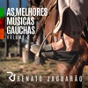 As Melhores Músicas Gaúchas, Vol. 2