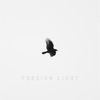 Foreign Light, 2017