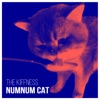 Numnum Cat - Single