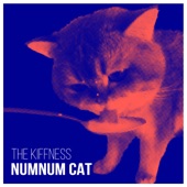 Numnum Cat artwork