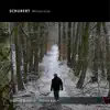 Schubert: Winterreise album lyrics, reviews, download