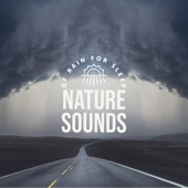 Nature Sounds Of Rain For Sleep - Natures Touch