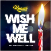 Wish Me Well artwork