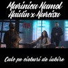 Calc pe cioburi de iubire (feat. Haidin & Narcisa) - Single