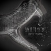 Say It To My Face - Single