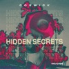 Hidden Secrets - Single